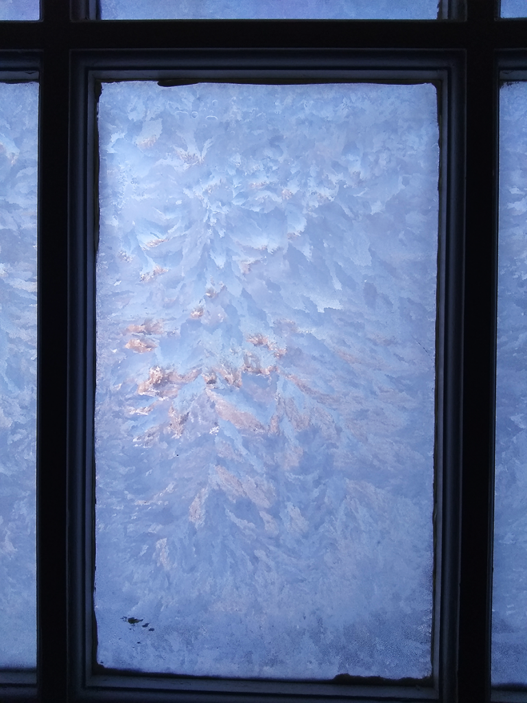 Window covered in frost