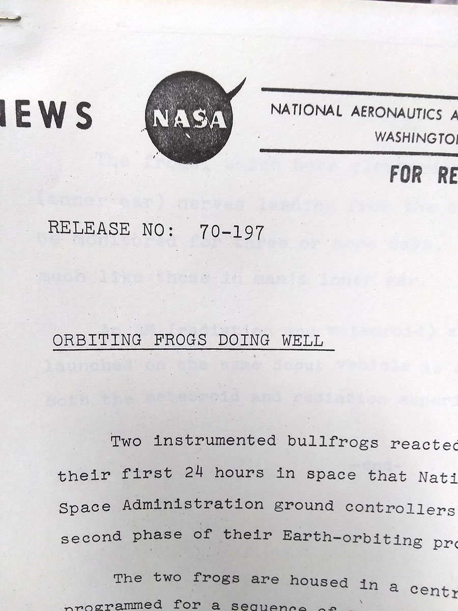 Press release, "Orbiting frogs doing well"