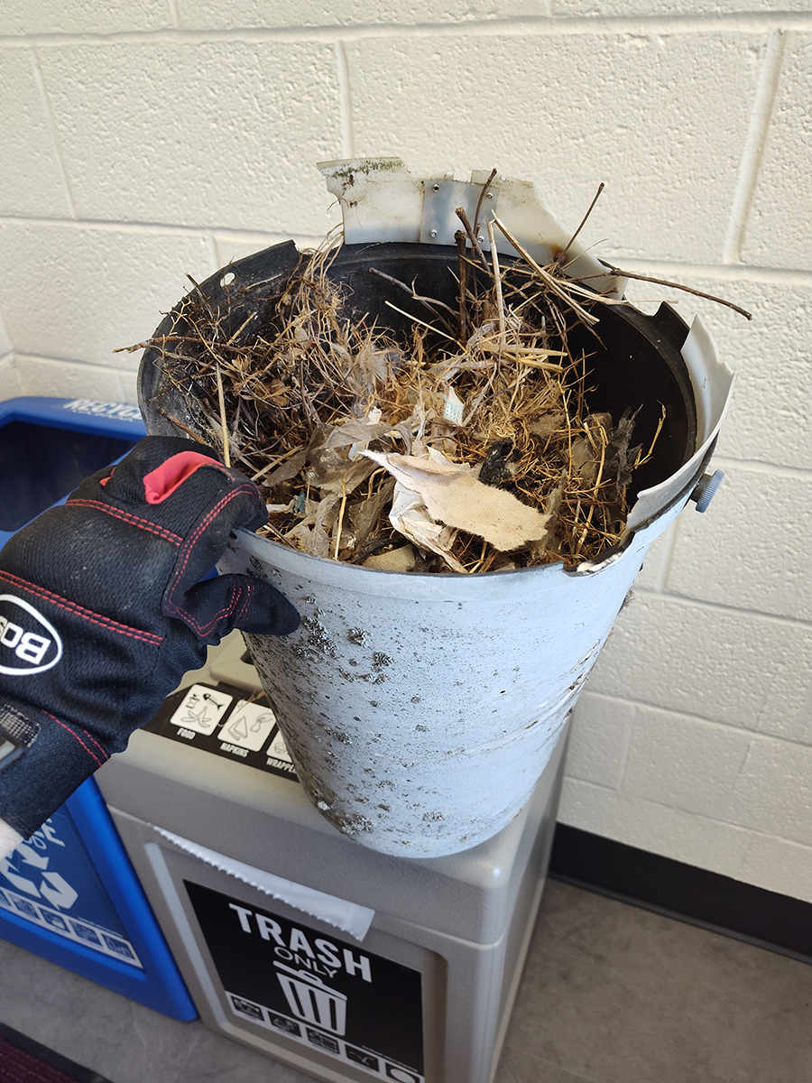 Bird's nest filling nose cone.