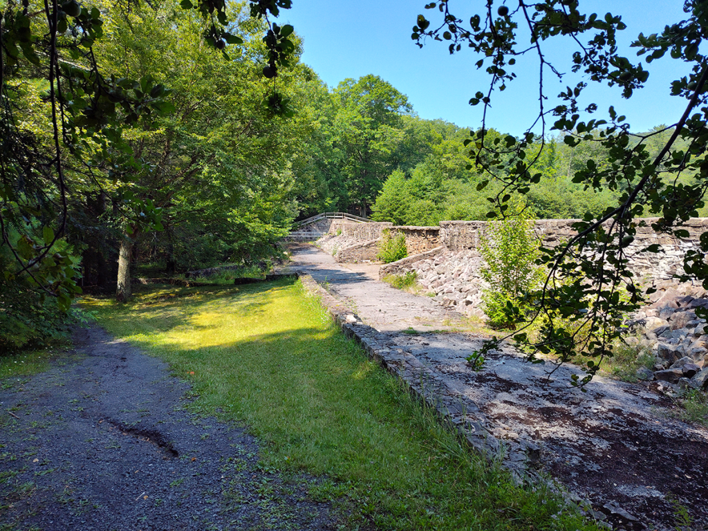 Old stone dam at Penn Roosevelt State Park.